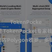 TokenPocket提现 TokenPocket专家钱包复古Polygon收罗，多链生态助力加密货币生态发展